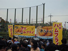画像⑤